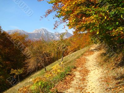 autumn scene
