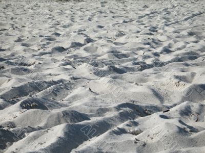 gray sand beach