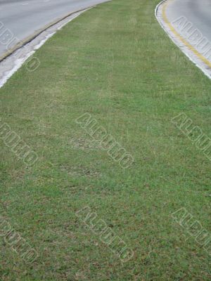grass path background
