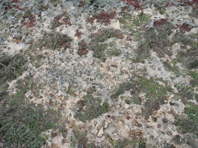 dry stone ground background