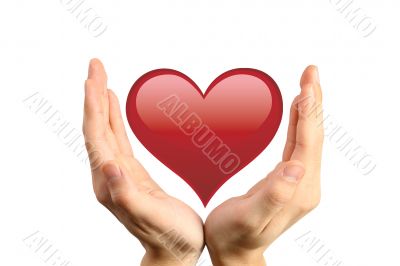 Heart