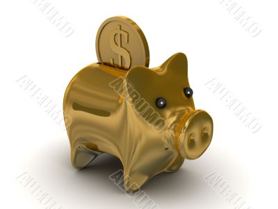 Gold pig a coin box. Isolated 3D image.