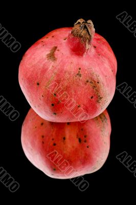 pomegranate on black macro