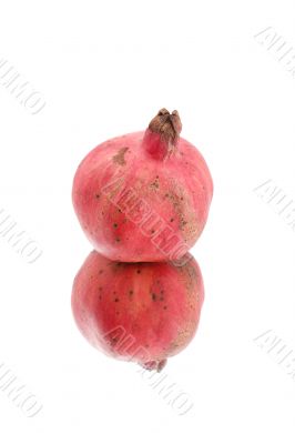 pomegranate on white