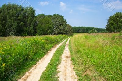 The road in the field