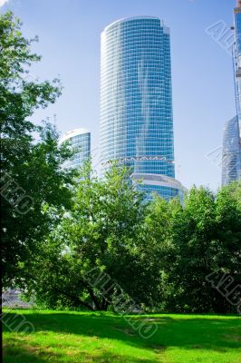 skyscraper and Nature