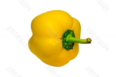 Yellow capsicum - bell pepper