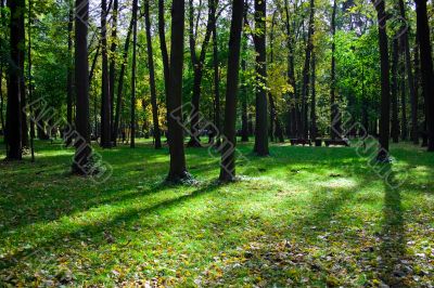 Green Park