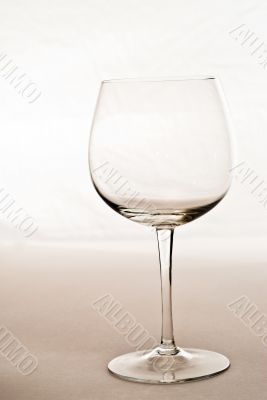 Empty Wine Glass