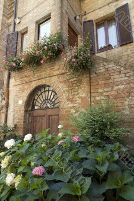 Buonconvento (Tuscany) - House and plants