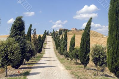 Crete senesi, characteristic landscape in Val d`Orcia