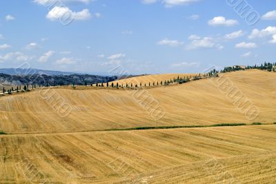 Crete senesi, characteristic landscape in Val d`Orcia