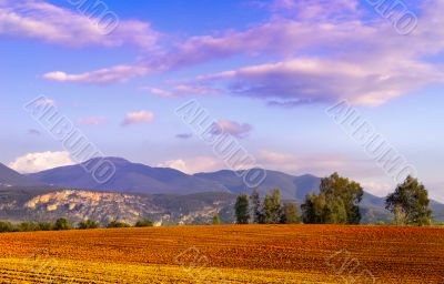 Farmland landscape