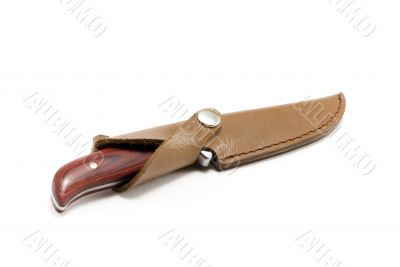 Knife in scabbard