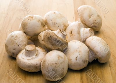 Fresh Mushrooms
