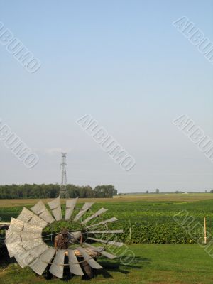 agricultural green field