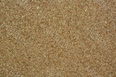 Cork Bulletin Board