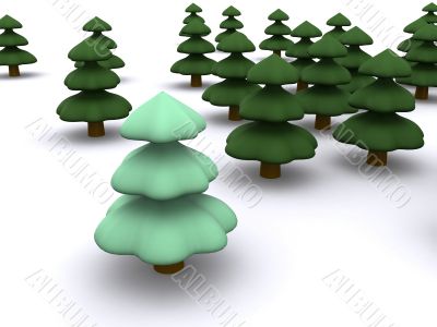 firtree