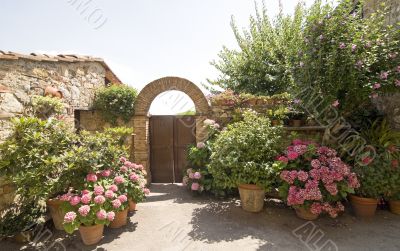 Villa a Sesta (Chianti) - House with plants and flowers