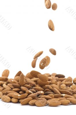 almond on white