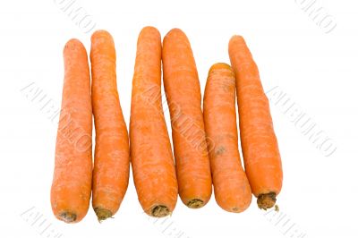 carrots
