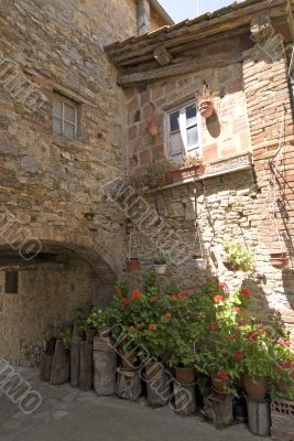 Villa a Sesta (Chianti) - House with plants and flowers
