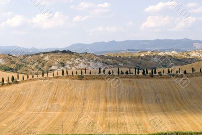 Crete senesi, characteristic landscape in Val d`Orcia