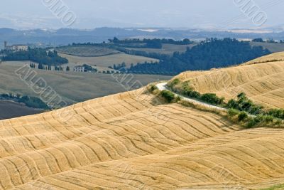 Crete senesi, characteristic landscape in Val d`Orcia