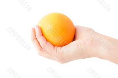 Want An Orange