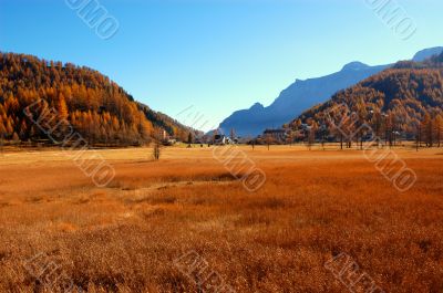 Panoramic view of field