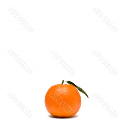 a delicious tangerine