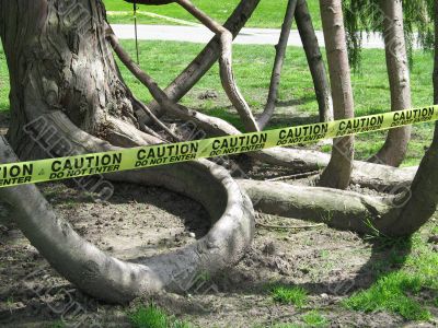 cautious