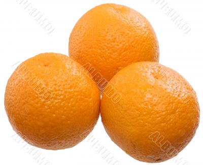Three ripe oranges