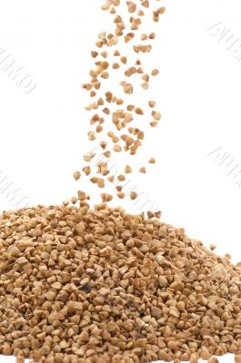 buckwheat macro