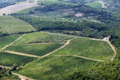 Chianti landscape near Radda, with vineyards and olive trees