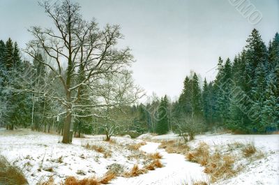 Ice covered river
