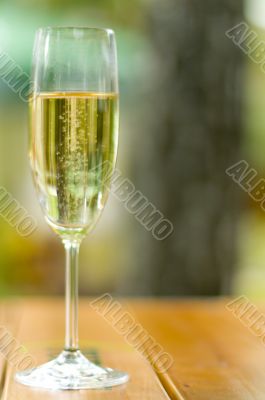 champagne glass