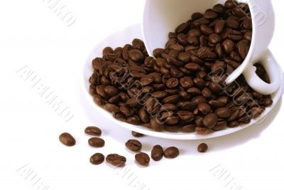 Coffee beans