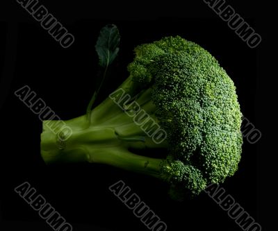 broccoli