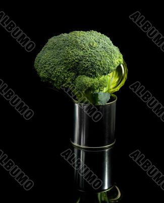 broccoli on a tin can