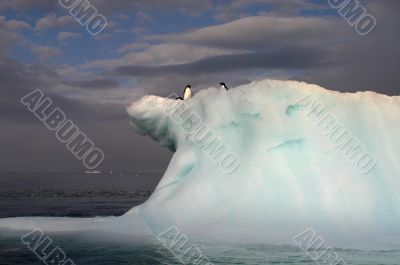 Iceberg and penguin
