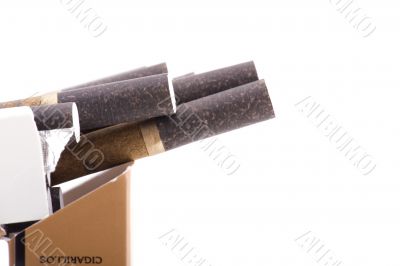 cigarillos