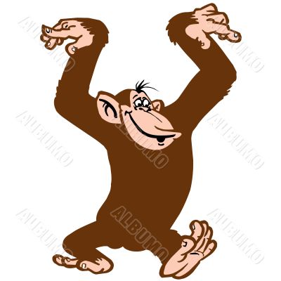 Funny monkey
