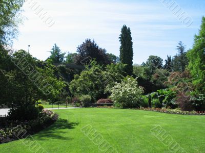 large garden in the summer