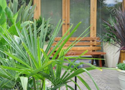garden area and patio