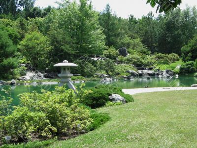 large garden in the summer