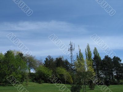 large garden in the summer