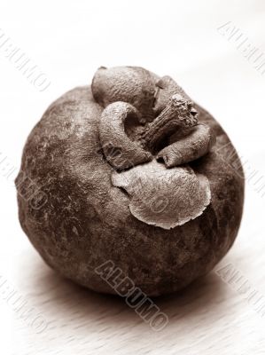 Mangosteen fruit