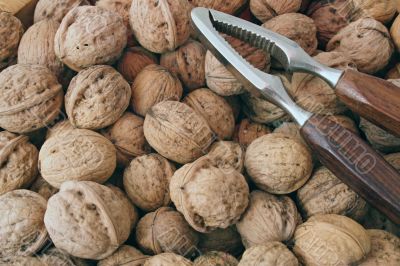 Walnuts