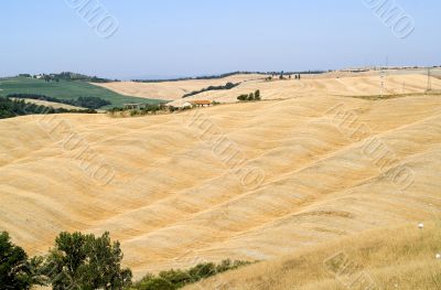 Crete senesi, characteristic landscape in Val d`Orcia